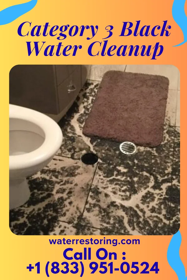 Category 3 Black Water Cleanup in Stronghurst, IL