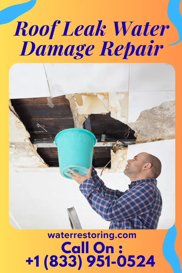Roof Leak Water Damage Repair in Stronghurst, IL
