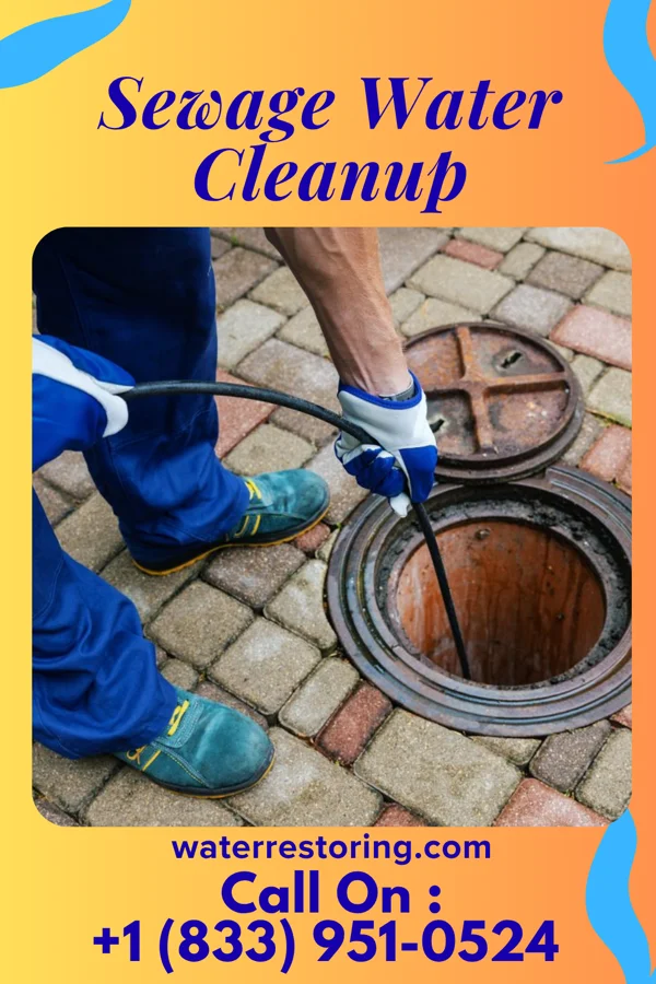 Sewage Water Cleanup in Stronghurst, IL